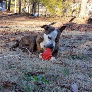 Meet your Posher, Allyssa